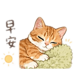 齒，蛋、胖、呆、妮❣️