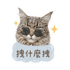 逼逼妞妞日常貼圖