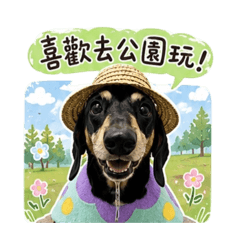 瘦寶