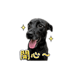 妞妞日常對話
