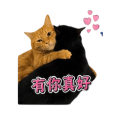 喵_兄妹情深