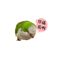 我的萌萌萌萌噠