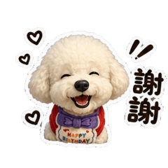 快樂的小比熊狗