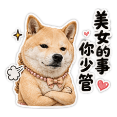 柴柴的內心戲