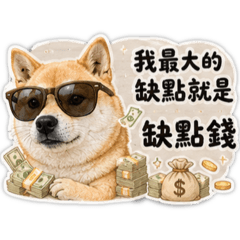 柴柴金句噴發