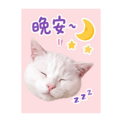 我的吉