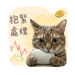 海苔的投資話