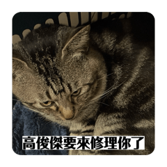 高俊傑a.k.a Miumiu