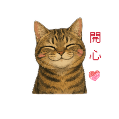 yayayyaa