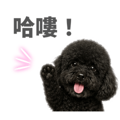 我家小G的日常語錄