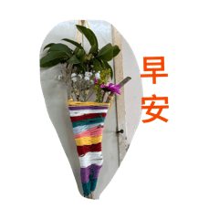 我的風景2026001