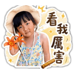 可愛歆歆日常