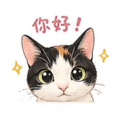 閃亮小花貓皮蛋的日常