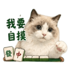 超實用布偶貓麻將貼圖