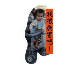 辰辰表情包3