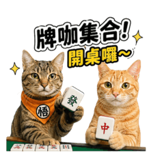 大餅QQ打牌了
