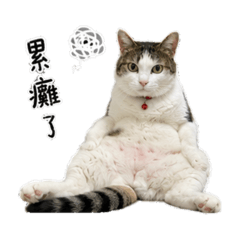 喵球物語