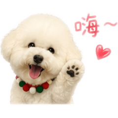 齊湯圓圓