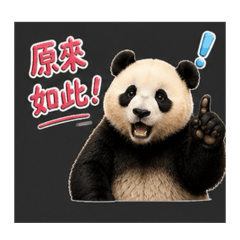 可愛福寶日常