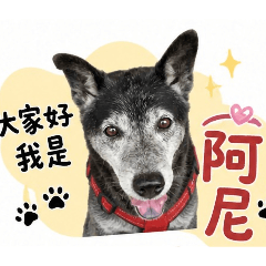 李小尼