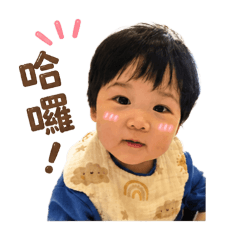 小籠包表情包cute1