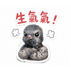 鴿子阿財2