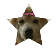 Dog stamp