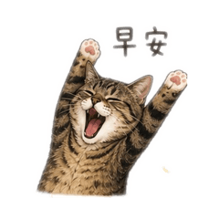 Puni寶的日常