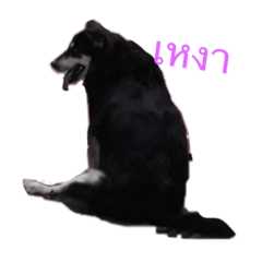 Laknoy