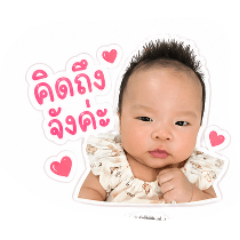 porpor_20260501150844