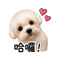 Kiki～小廖