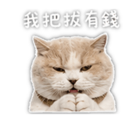 大摳呆的生活話用語