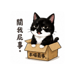 賓士貓悠悠1