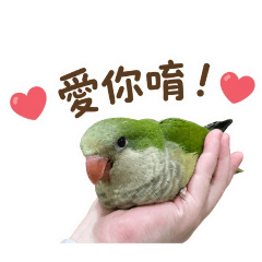 勾錐ㄟ綠和尚