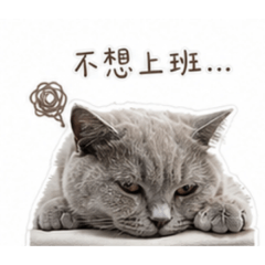 森森|不想上班篇