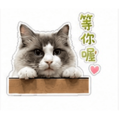 鍋巴飯日常生活