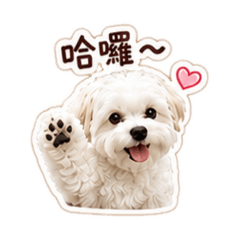 可愛Q版瑪爾濟斯2