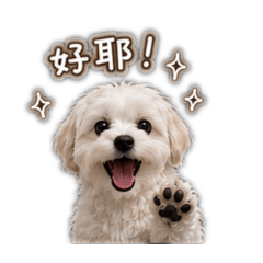 可愛Q版瑪爾濟斯3