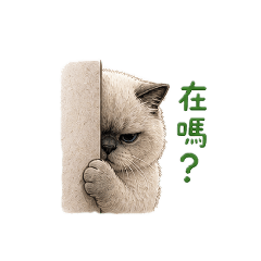 肥肥-厭世臉日常