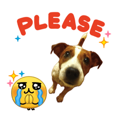 KUMA KUMA 様