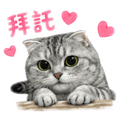 饅頭 so Q