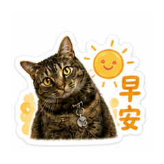 Happy日常小劇場