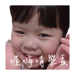 迷你朵拉看著你