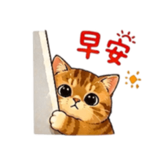 包ㄚ