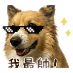 馬尼仔子