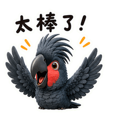 棕櫚鳳頭鸚鵡的日常