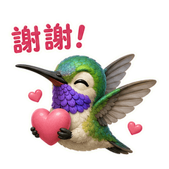 蜂鳥的日常