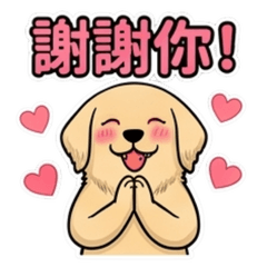 黃金亮亮：電商物流與倉儲理貨日常