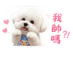 小怡的貼身保鑣（仔仔）