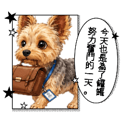 約克夏圖集2